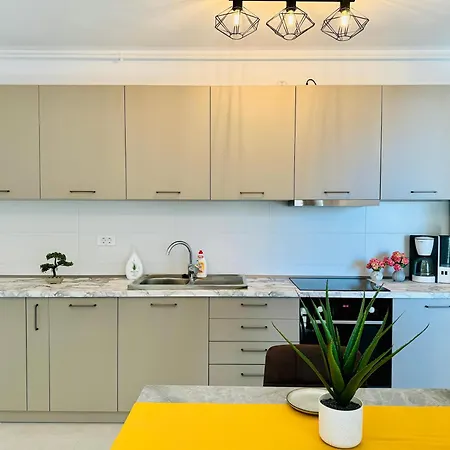 Joy Mara M9-58 Apartment Timisoara