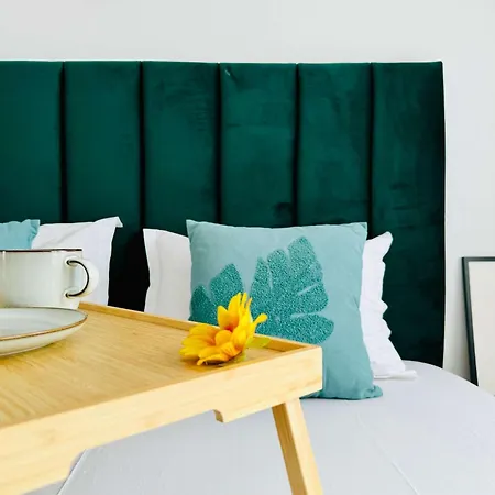 Joy Mara M9-58 * 티미쇼아라