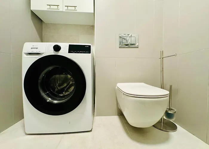 Joy Mara M9-58 * Timisoara