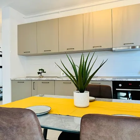 Apartment Joy Mara M9-58 Timişoara